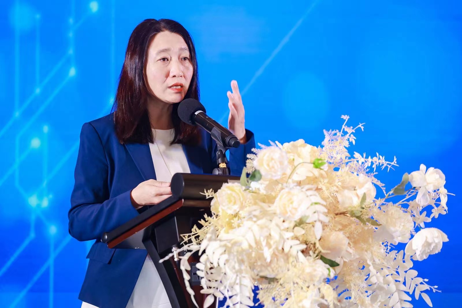 阿里巴巴.jpg
