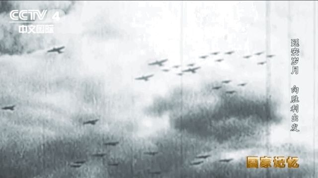 4.gif