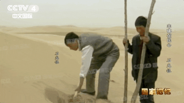6.gif
